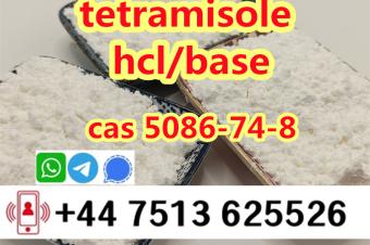 cas 5086748 tetramisole hcl base strong effect export to Europe